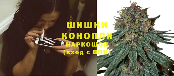 индика Россошь