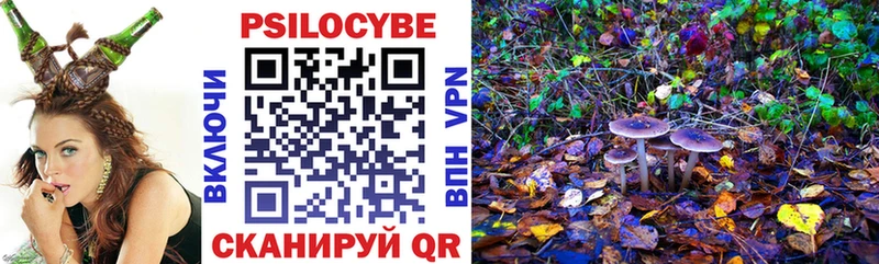 OMG ONION  Жигулёвск  Галлюциногенные грибы Cubensis 